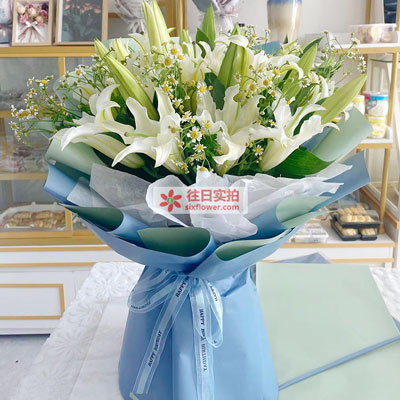 济宁8支白色多头百合洋甘菊，互倾的思念