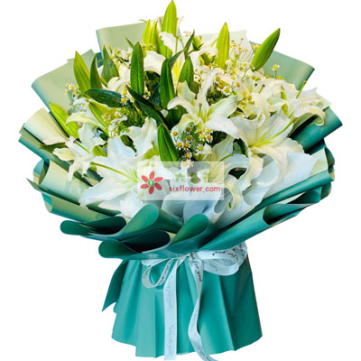 济宁8支白色多头百合洋甘菊，如潮的思念