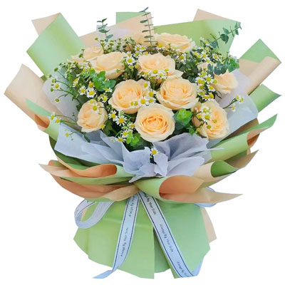 济宁11朵香槟玫瑰洋甘菊,爱温暖幸福